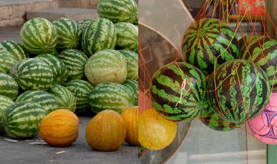 Melonen: Original und Fälschung
