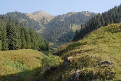 Schweizeralmhaftigkeit bei Butakovka