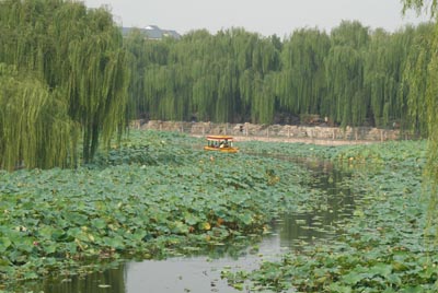 Bootspartie inmitten von Lotus, Beihai-Park